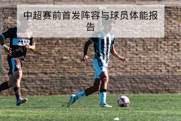 中超球员伤病名单与复出时间动态追踪